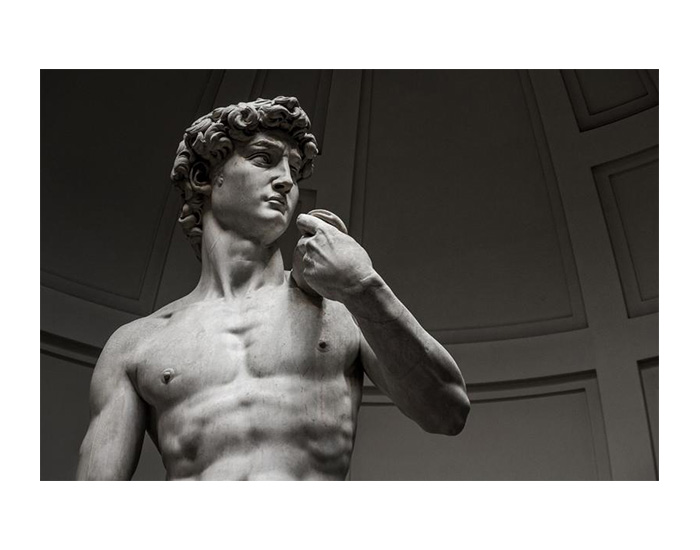 CUADRO LIENZO DAVID