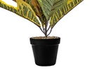 PLANTA ARTIFICIAL CODIAEO MULTICOLOR (40cm)
