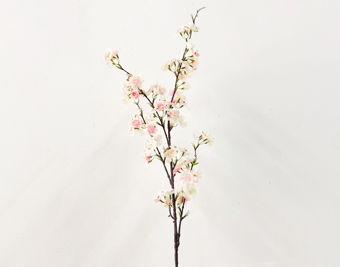 FLOR DE NUBE ROSA