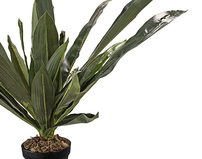 PLANTA ARTIFICIAL DRACENA VERDE (40cm)