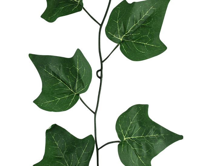 ENREDADERA COLGANTE DEVID VERDE (3mts)