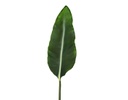 HOJA DECORATIVA NICOLÁS (90.5cm)