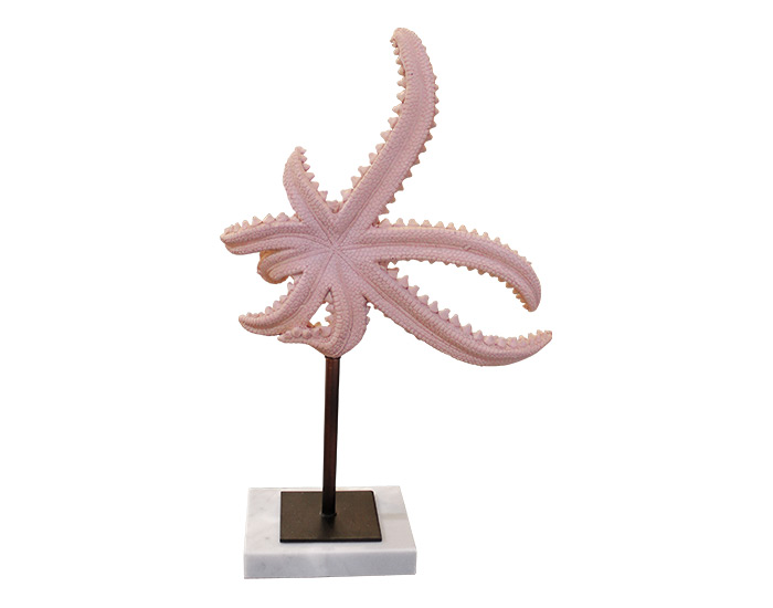 FIGURA DECORATIVA ESTRELLA DE MAR CORAL CON BASE DE MARMÓL (28×36×8cm)