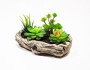 MACETA GROOT FLOR LOTUS-SUCULENTAS CON BASE DE YESO (15×23×12cm)