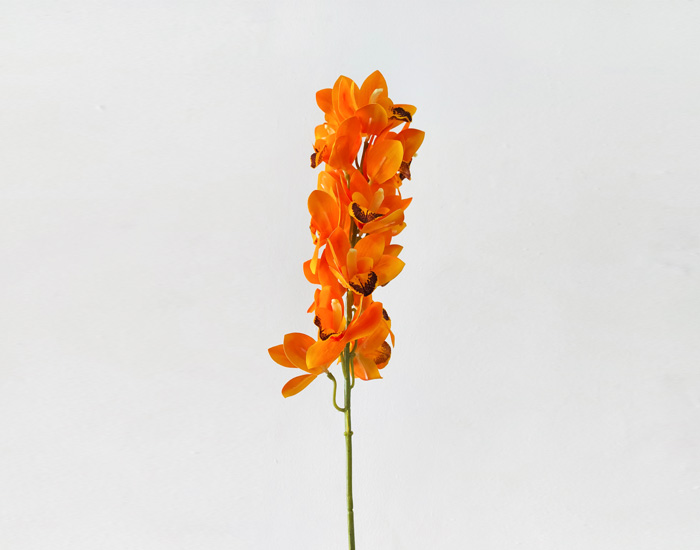 MAGNOLIA NARANJA - MOD. MCH.PLT.0062