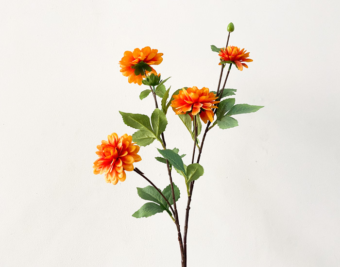 DALIA NARANJA - MOD. 	MCH.PLT.0074