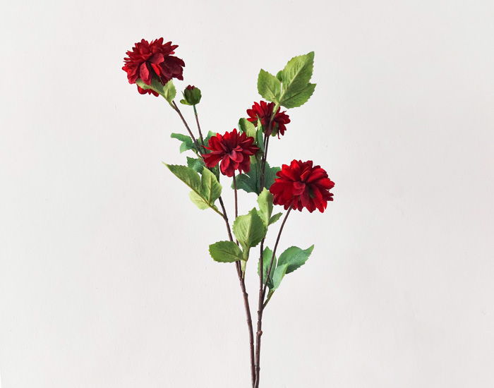 DALIA ROJO VINO - MOD. MCH.PLT.0075