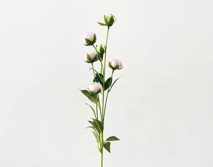 JULIET ROSE BEIGE - MOD. MCH.PLT.0085