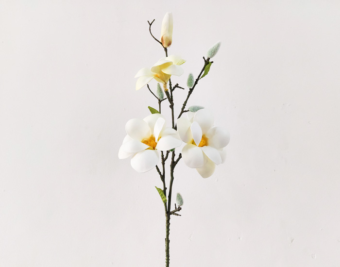 GLADIOLA BLANCA