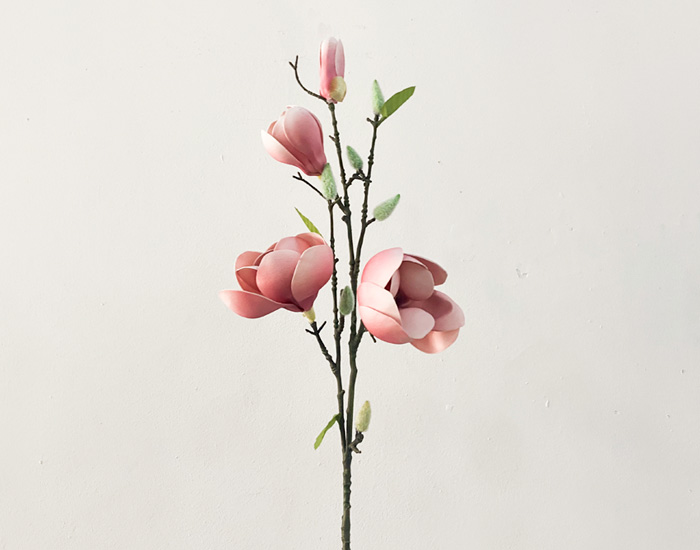 GLADIOLA ROSA - MOD. MCH.PLT.0094