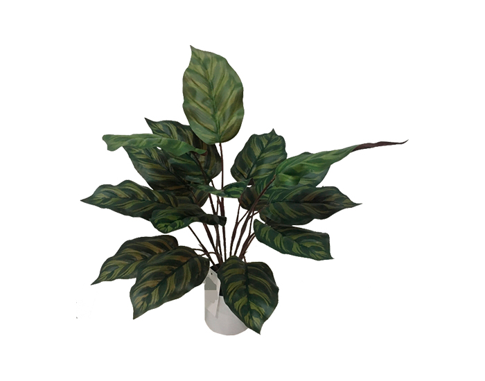 PLANTA DECORATIVA CALA (40cm)