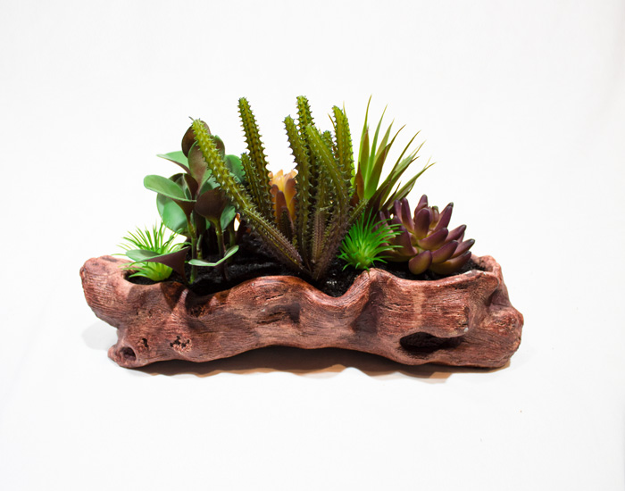 MACETA ROCKET BEAVERTAIL-CACTUS CON BASE DE YESO (20×34×16.5cm) - MOD. MCH.PLT.0117