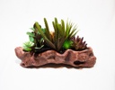 MACETA ROCKET BEAVERTAIL-CACTUS CON BASE DE YESO (20×34×16.5cm) - MOD. MCH.PLT.0117