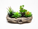 MACETA GROOT FLOR LOTUS-SUCULENTAS CON BASE DE YESO (15×23×12cm) - MOD. MCH.PLT.0119