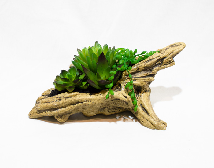 MACETA CAIMAN SUCULENTAS CON BASE DE YESO (14×30×14cm) - MOD. MCH.PLT.0120