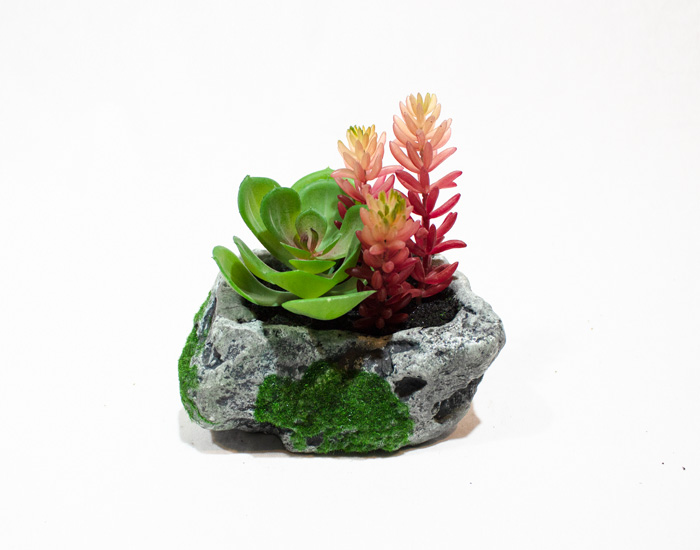 MACETA CAÍN LOTUS SUCULENTA CON BASE YESO (12×14×10cm) MOD. CH.PLT.0124