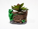 MACETA PETER CON RANA-SUCULENTA CON BASE DE YESO (13×12×10cm) - MOD. MCH.PLT.0125