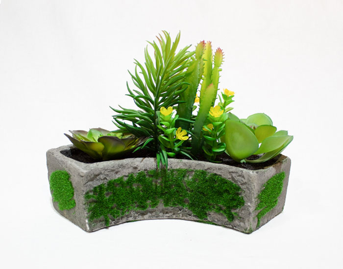 MACETA CLEO SUCULENTAS CON BASE DE YESO (18×23×14cm) - MOD. MCH.PLT.0127