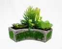 MACETA CLEO SUCULENTAS CON BASE DE YESO (18×23×14cm) - MOD. MCH.PLT.0127