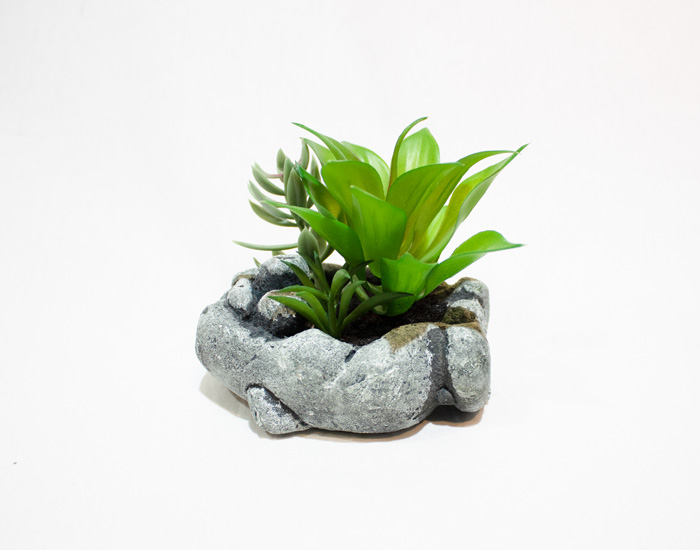MACETA CAEL AGAVE-SUCULENTA CON BASE DE YESO (12×12×10cm) - MOD. MCH.PLT.0128