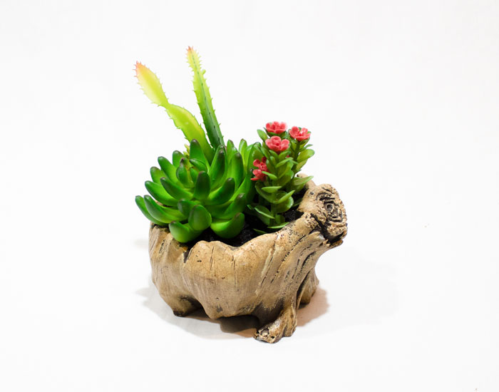 MACETA LOTUS ECHEVERIA CON BASE DE YESO (18×15×14cm) - MOD. MCH.PLT.0129