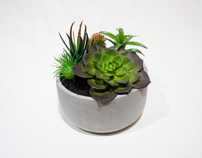 MACETA CASEY SUCULENTAS CON BASE DE YESO (16×16cm) - MOD. MCH.PLT.0130