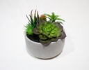 MACETA CASEY SUCULENTAS CON BASE DE YESO (16×16cm) - MOD. MCH.PLT.0130