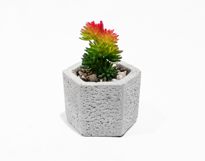 MACETA CALIXTO SUCULENTAS CON BASE DE YESO HEXAGONAL (10×8cm)