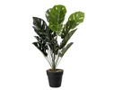 PLANTA ARTIFICIAL COSTILLA DE ADAN VERDE (60cm)