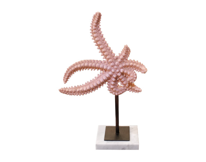 FIGURA DECORATIVA ESTRELLA DE MAR CORAL CON BASE DE MARMÓL (28×36×8cm)