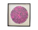 CUADRO GIRASOL FUCSIA CON PLUMAS NATURALES (90×90×6cm)