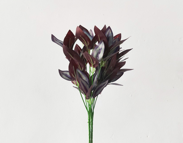ZEBRINA PENDULA (2 PZAS)