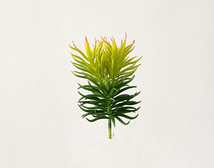 FLOR ENZOS - MOD. MCH.PLT.0056