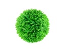 ESFERA DE FOLLAJE CHICA (30cm) - MOD. MCH.PLT.0024