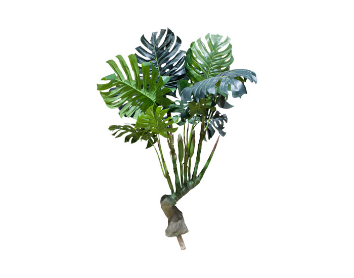 PLANTA RIP TARO (1.4mts)